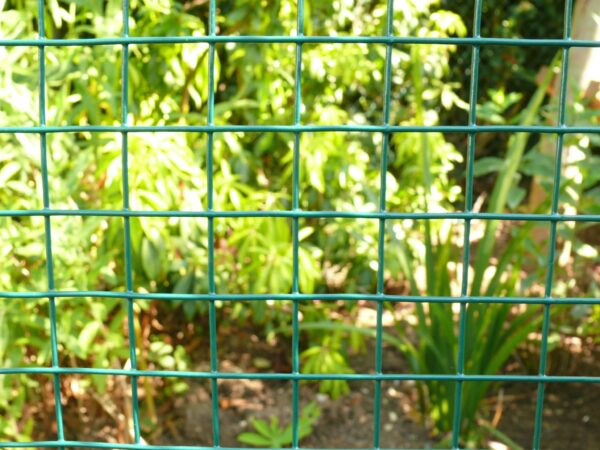 Welded Mesh - Image 2