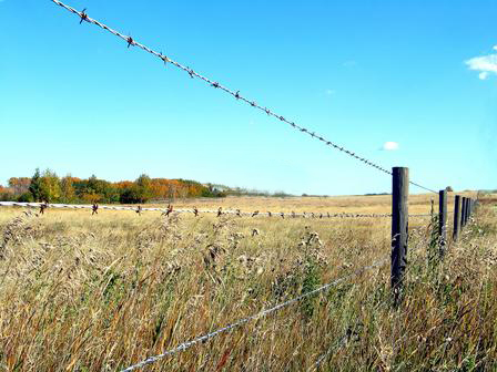 barbed wire for farm fencing